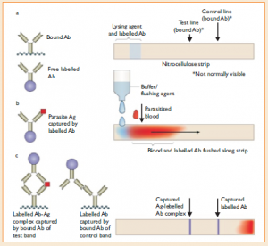 Rapid And Accurate Diagnostic Tests For Malaria Disease