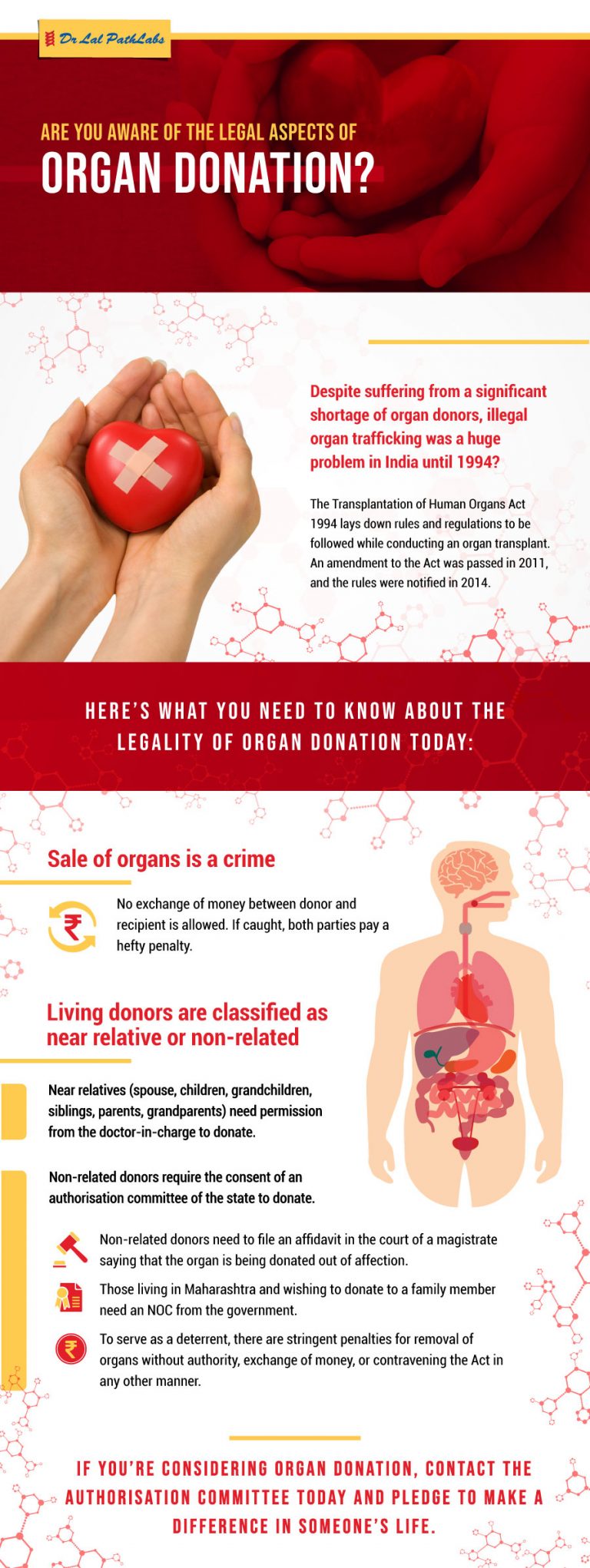 Organ Donation India: Laws and Organ Transplant Donation Information ...