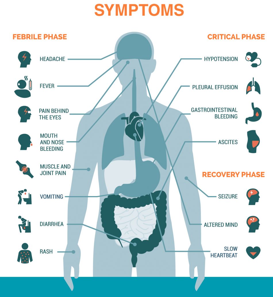 Overivew of Dengue - Know its Signs and Symptoms