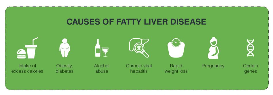 Overview Of Fatty Liver Signs Symptoms And Diagnosis