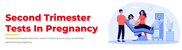 The Second Trimester of Pregnancy - Dr Lal PathLabs Blog