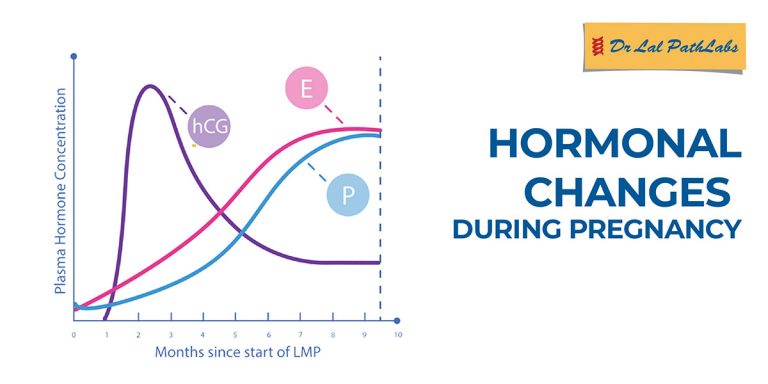 Hormonal Changes During Pregnancy | Dr. Lal PathLabs