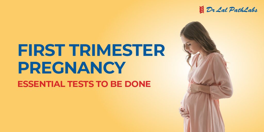 First Trimester Tests In Pregnancy Importance And Results Dr Lal Pathlabs