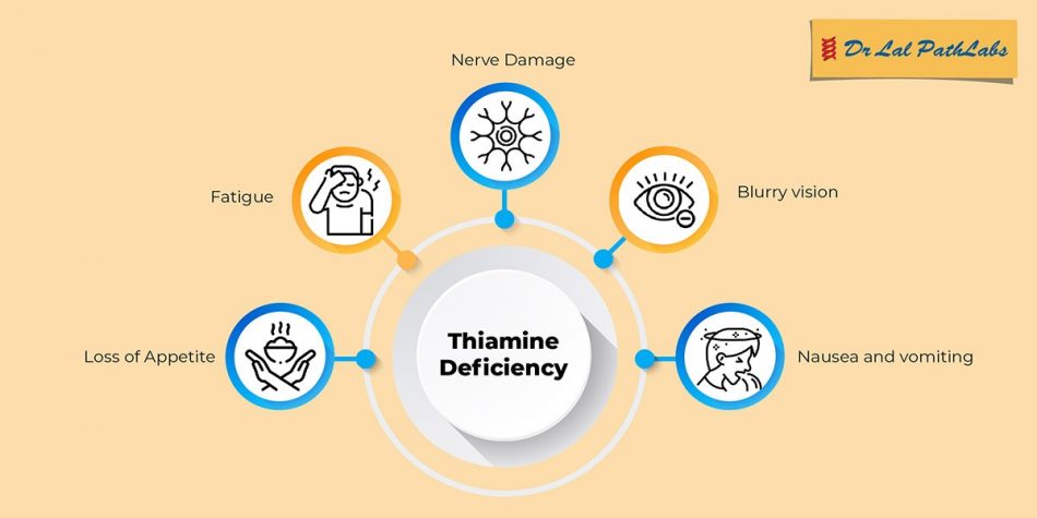 Thiamine Deficiency Understanding The Importance Of Vitamin B1 Dr Lal Pathlabs 