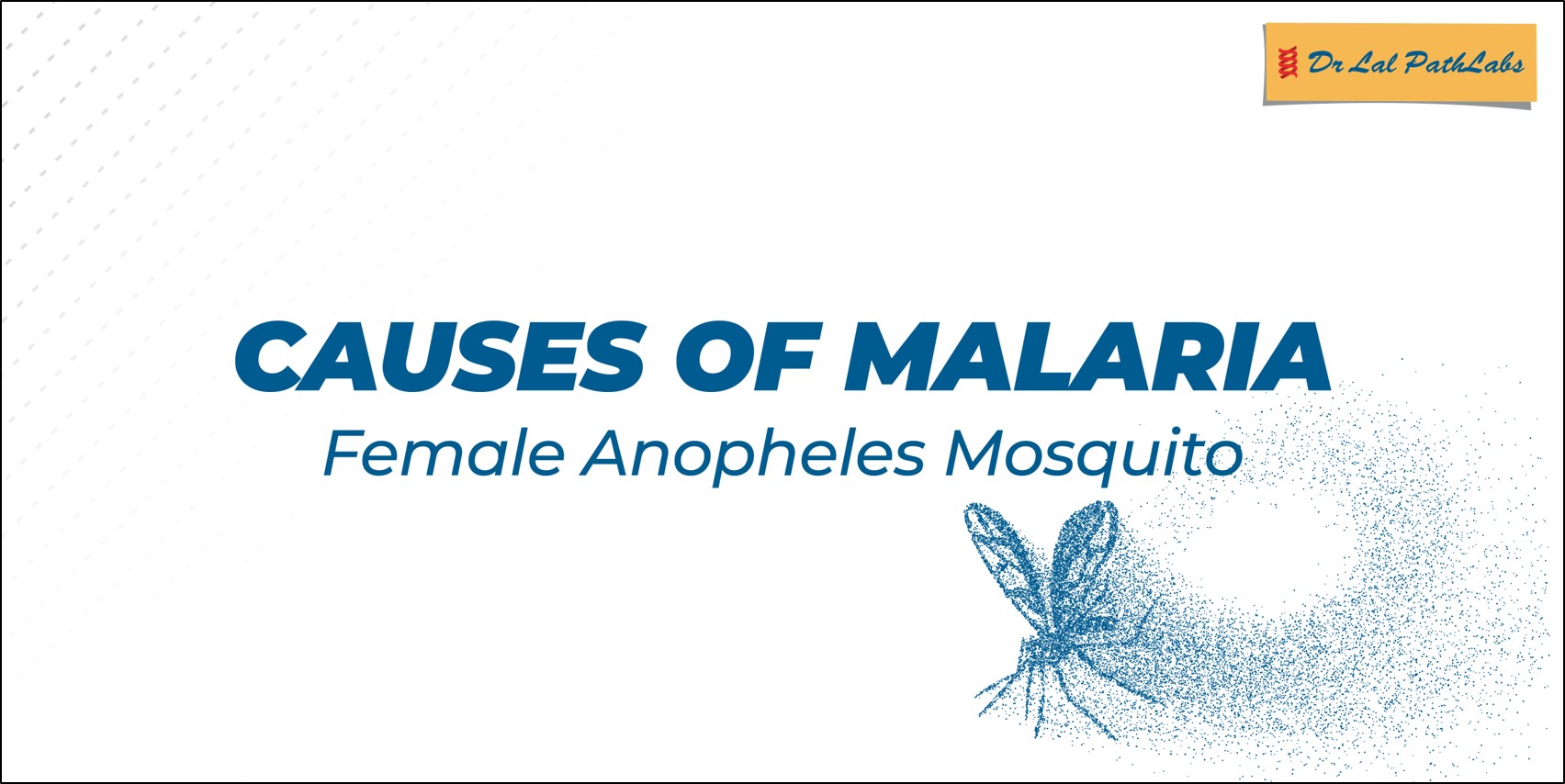 causes-of-malaria-dr-lal-pathlabs