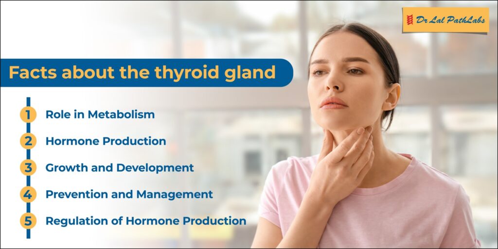 10 Facts About Your Thyroid Gland - Dr Lal Pathlabs Blog