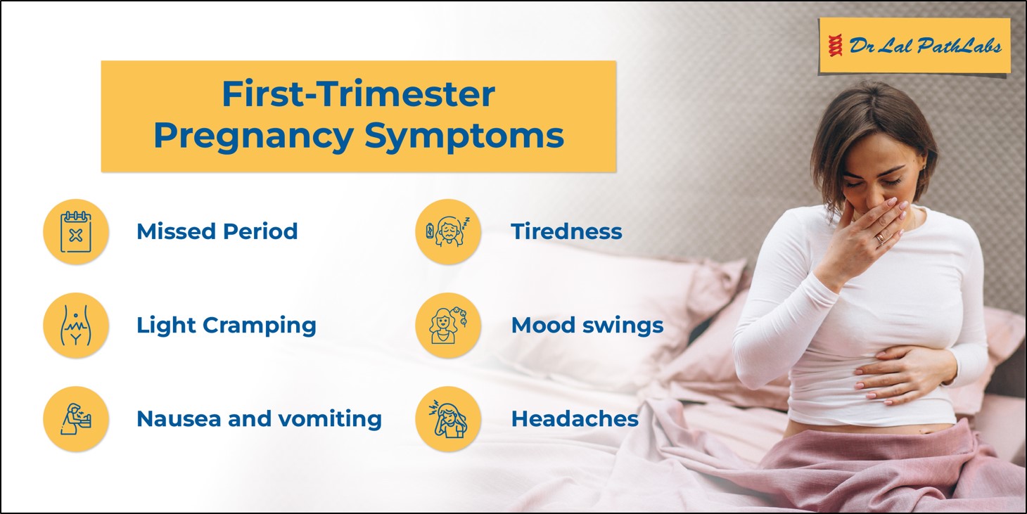 First Trimester: What to Expect? | Dr Lal PathLabs Blogs